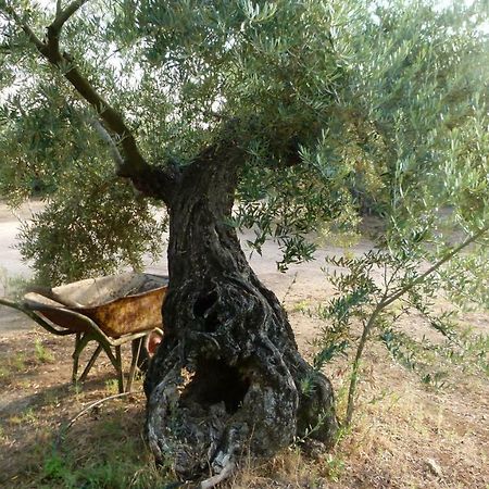 בית הארחה מרמולחו 	La Aragonesa מראה חיצוני תמונה