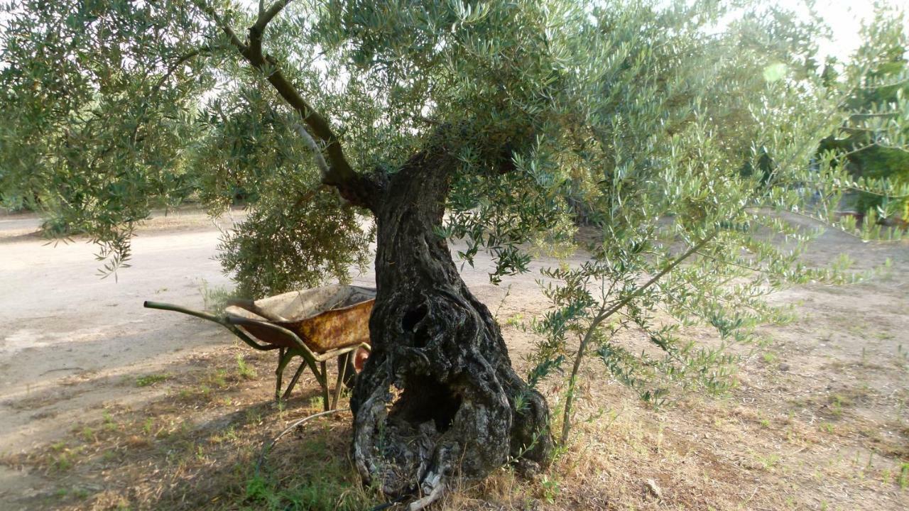 בית הארחה מרמולחו 	La Aragonesa מראה חיצוני תמונה