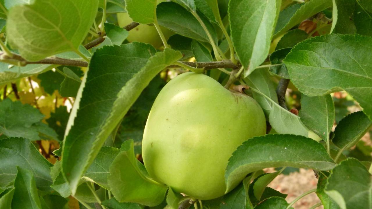בית הארחה מרמולחו 	La Aragonesa מראה חיצוני תמונה